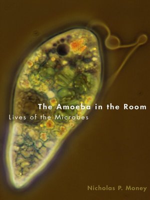 cover image of The Amoeba in the Room